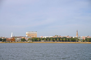 DSC_3450