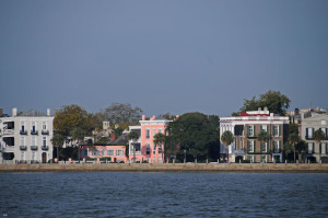 DSC_3460