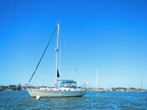 DSCN2454