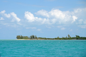 DSC_7056