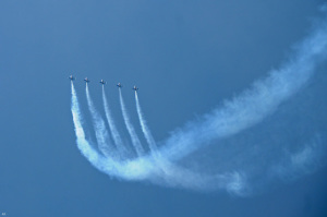 DSC_8891