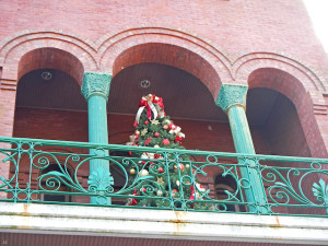 DSCN6207