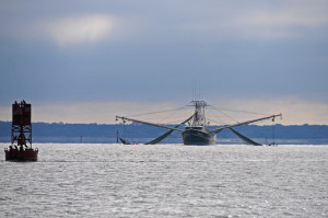 Watching a shrimp boat on the way up the St Mary’s river