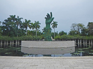 DSCN6636